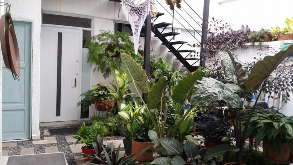 Moonshine Boutique Hostal Cali Extérieur photo